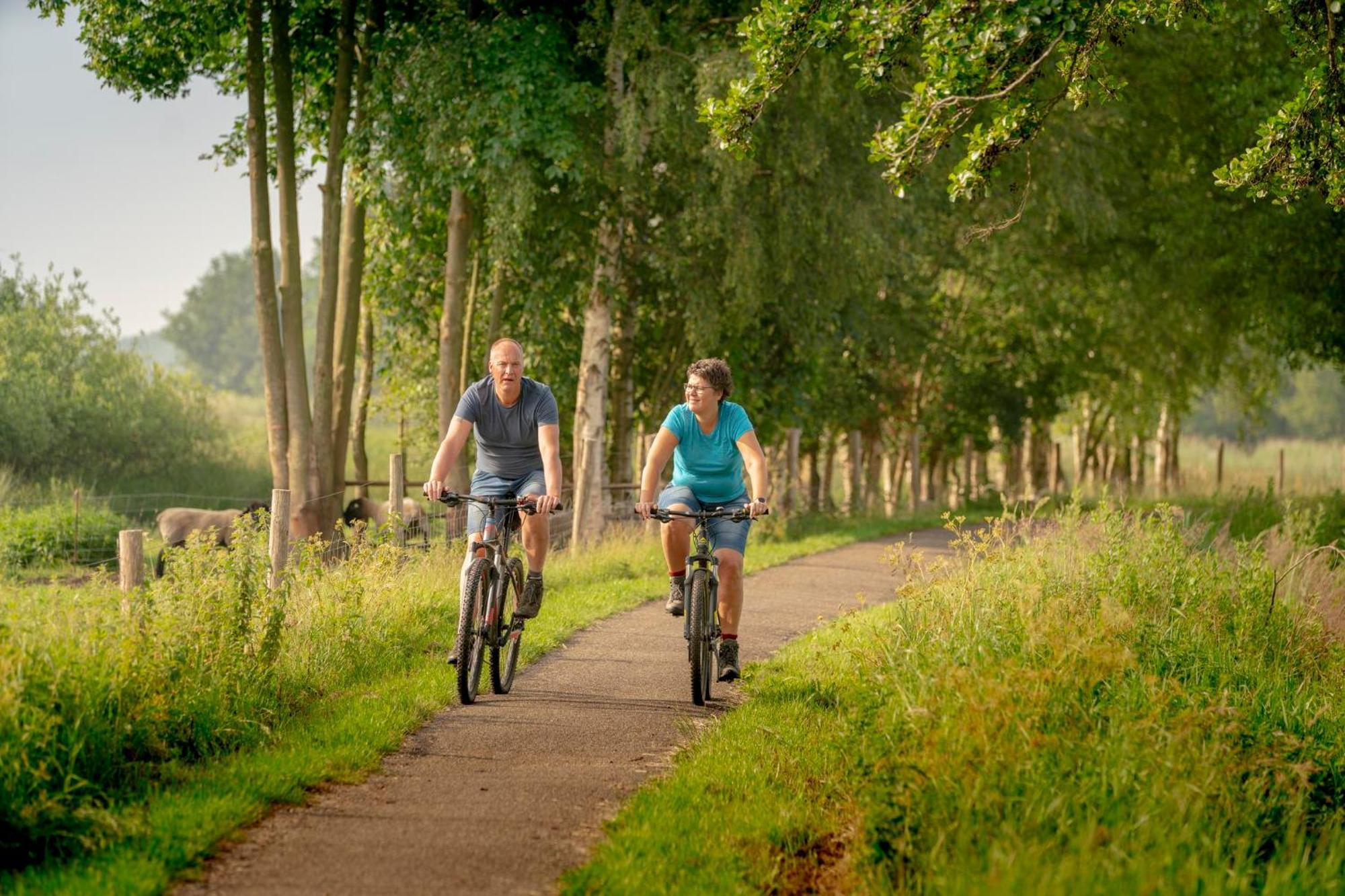 Vakantiepark Bosmeer Friesland Noordwolde  Camera foto